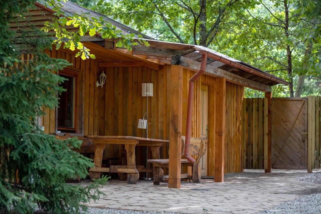 Holiday House With Sauna Cesis Exterior photo